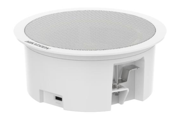 DS-QAZ1206G1-BE